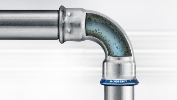 Biofilm in drinking water (© Geberit)