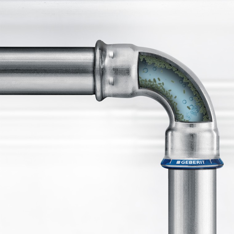 Natural microorganisms in drinking water