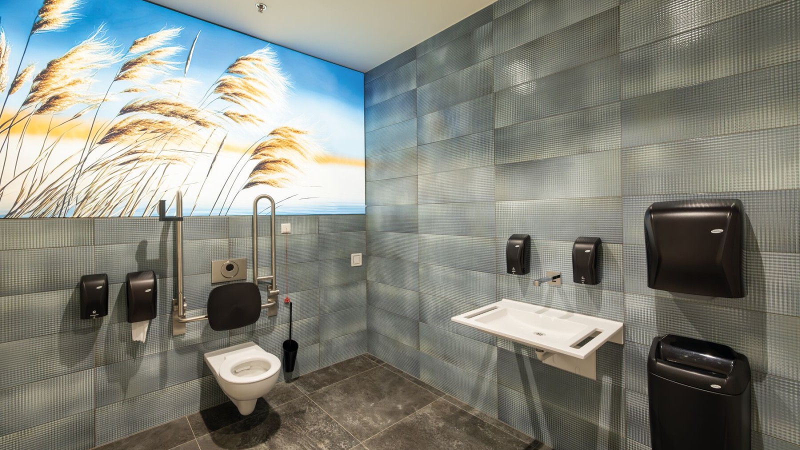 Barrier-free bathroom Barrier-free bathroom