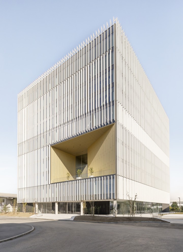 DCB Montana (© Ana Skobe) DCB Montana (© Ana Skobe)